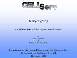 HeLa Cell Examination & Karyotyping
