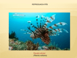 Ryby_reprodukcia