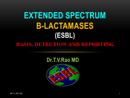 Laboratory Detection of ESBL