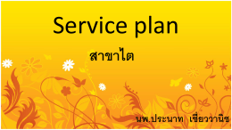 Service plan - เขตบริการสุขภาพที่ 1