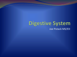 PPT23Chapter23DigestiveSystem