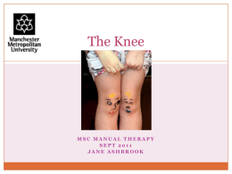 The Knee - WordPress.com