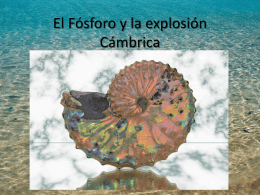Clase-EL Fosforo y la Explosión Cámbrinca