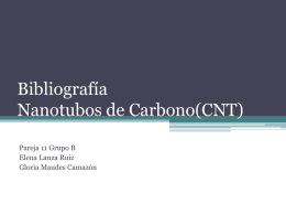 Bibliografía Nanotubos de Carbono(CNT) - IQ