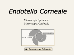 Endotelio Corneale
