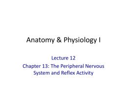 powerpoint lecture