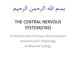 1. Central Nervous System
