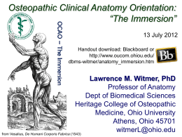 The Immersion - Ohio University College of Osteopathic Medicine