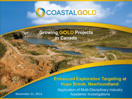 Pyrite Zone - Coastal Gold