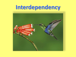 Interdependency Powerpoint