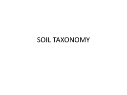 SOIL TAXONOMY