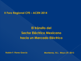Red eléctrica - Foro CFE ACEN 2014