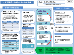２－２ 大阪府障がい者虐待防止の体制整備