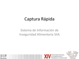 SIIA (Sistema de Información de Inseguridad