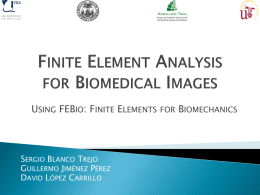 Finite Element Analysis for Biomedical Images