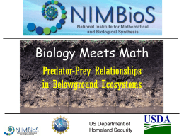 Predator-Prey_in_Soil