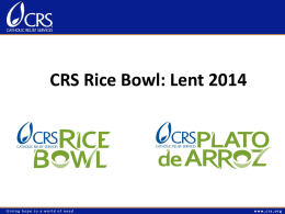 CRS Rice Bowl