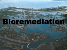 Chapter 9: Bioremediation - Kennesaw State University College of