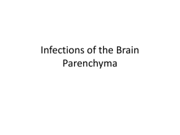 Infections of the Brain Parenchyma