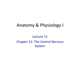 powerpoint lecture