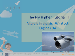 (small) - Fly Higher Project