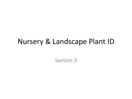 Nursery & Landscape Plant ID