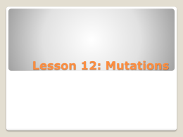 Lesson 12 Mutations