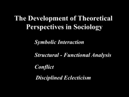 Sociolological Theory: Micro & Macro Approaches