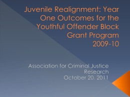 Youthful Offender Block Grant: First Year Outcomes