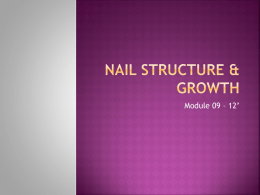 Nail Structure & Growth