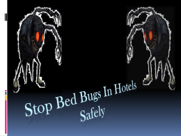 Stop Bed Bugs In Hotels Safely كيف تتم مكافحة بق الفراش فى