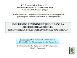 leçons de la stratégie 2002-2014 au Cameroun