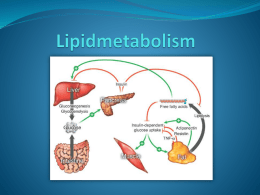 Lipid metabolismen grupp B 2012