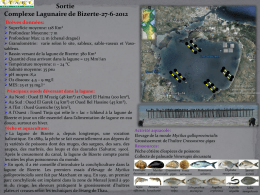 Diapositive 1 - MaghLag - Réseau des Lagunes Maghrébines