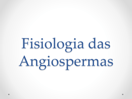 Fisiologia das Angiospermas