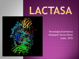 Lactasa (EC 3.2.1.23)