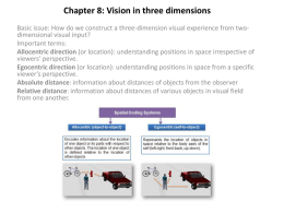 Chapter 8: Vision in three dimensions
