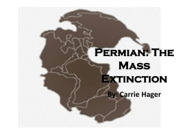Permian: The Mass Extinction