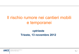 materiale del seminario dd 13/11/2012 su "IL RISCHIO