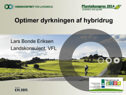 Optimer dyrkningen af hybridrug (indlæg på