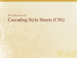 Lecture 3 CSS