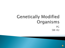What are Genetically Modified Organisms (GMOs)?