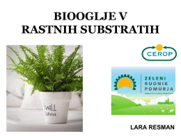 Lara Resman& dr. Tanja Bagar / Uporaba biooglja v rastnih substratih