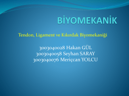 Tendon-Ligament-Kartilaj - Celal Bayar Üniversitesi