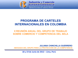 1. Autoridad &Uacute;nica de Competencia