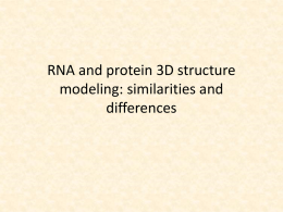 RNA and protein 3D structure modeling: similarities and differences