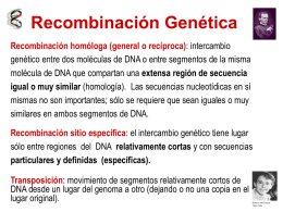 Recombinación - Genética Molecular