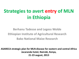 Strategies to avert entry of MLNin Ethiopia