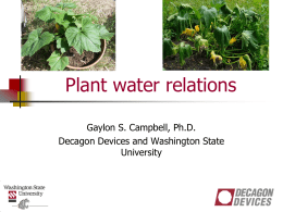 Section 4- Plant Water Relations