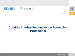 Comités Interinstitucionales de Formación Profesional 2011
